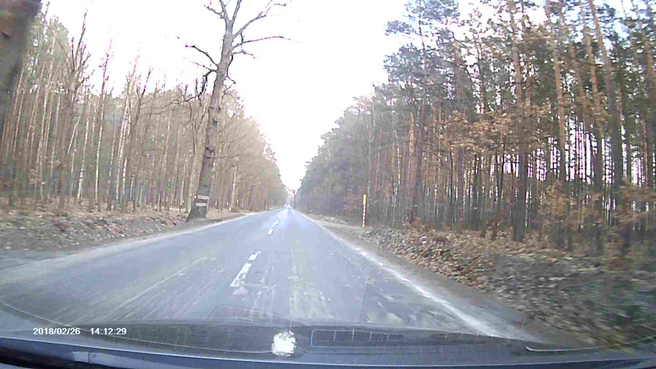 Trasa Bierdzany - Szumirad 26.02.2018 Spotkanie z łanią