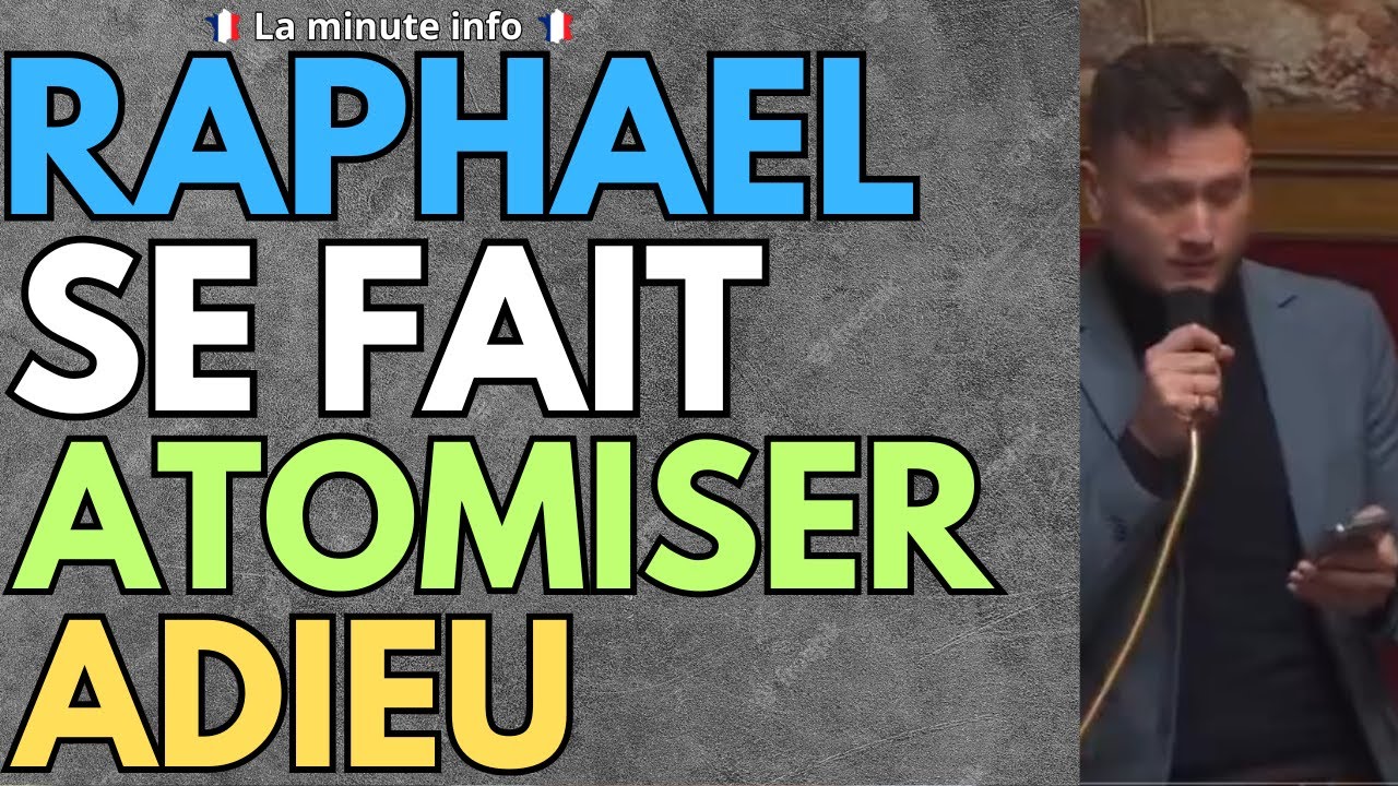 RAPHAEL ARNAULT SE FAIT PULV&Eacute;RISER PAR ESTELLE YOUSSOUFFA A PROPOS DE MAYOTTE . ADIEU LE FOU FURIEUX