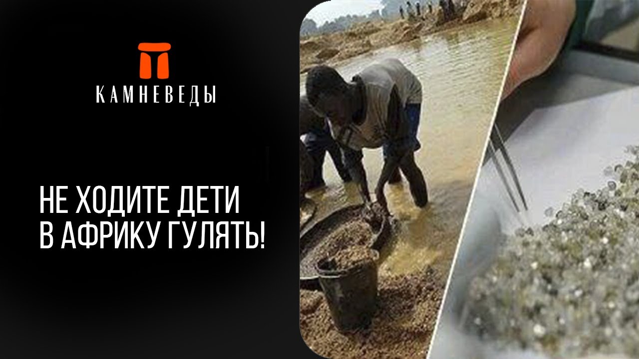 Не ходите дети в Африку гулять!