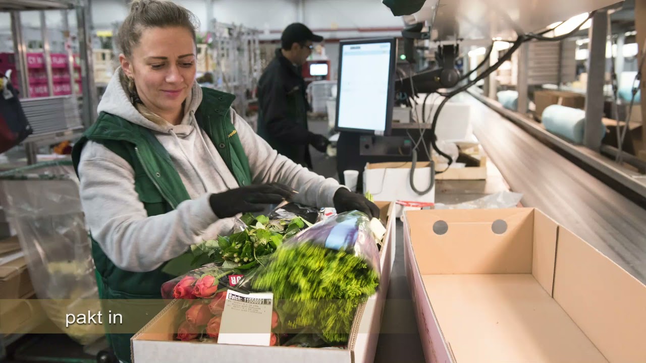 Vacature Logistiek medewerker -  Hilverda De Boer