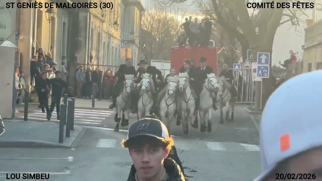 ABRIVADO BANDIDO ST GENIES DE MALGOIRES DU VENDREDI 20/02/2026 MANADE LOU SIMBEU