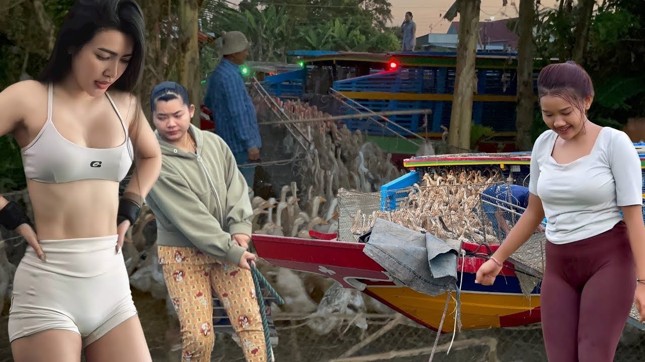 Full Video: Farmer Makes Millions Daily With Duck Boat Method Despite Mockery And A Shocking Ending!