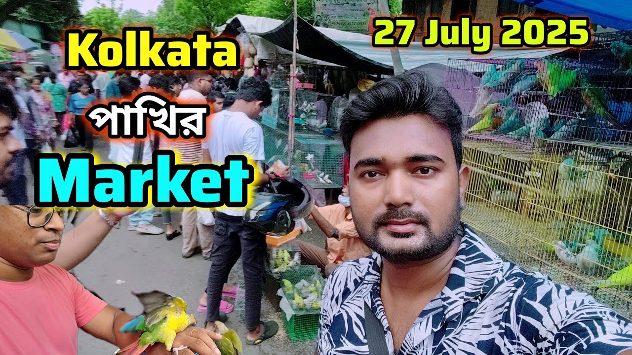খাঁচা খুললেই হাতে পাখি চলে আসছে | Kolkata Bird Market | All Exotic Bird | Gallif Street | 27/7/2025