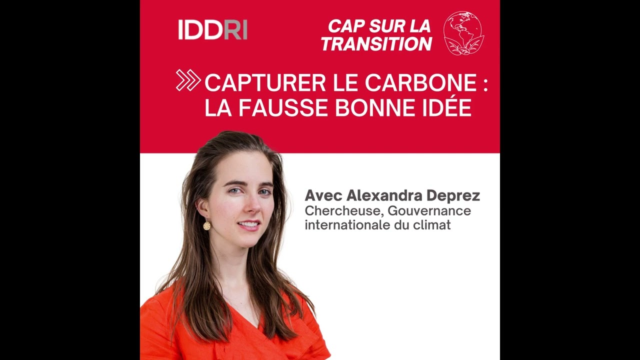 Capturer le carbone : la fausse bonne id&eacute;e ?