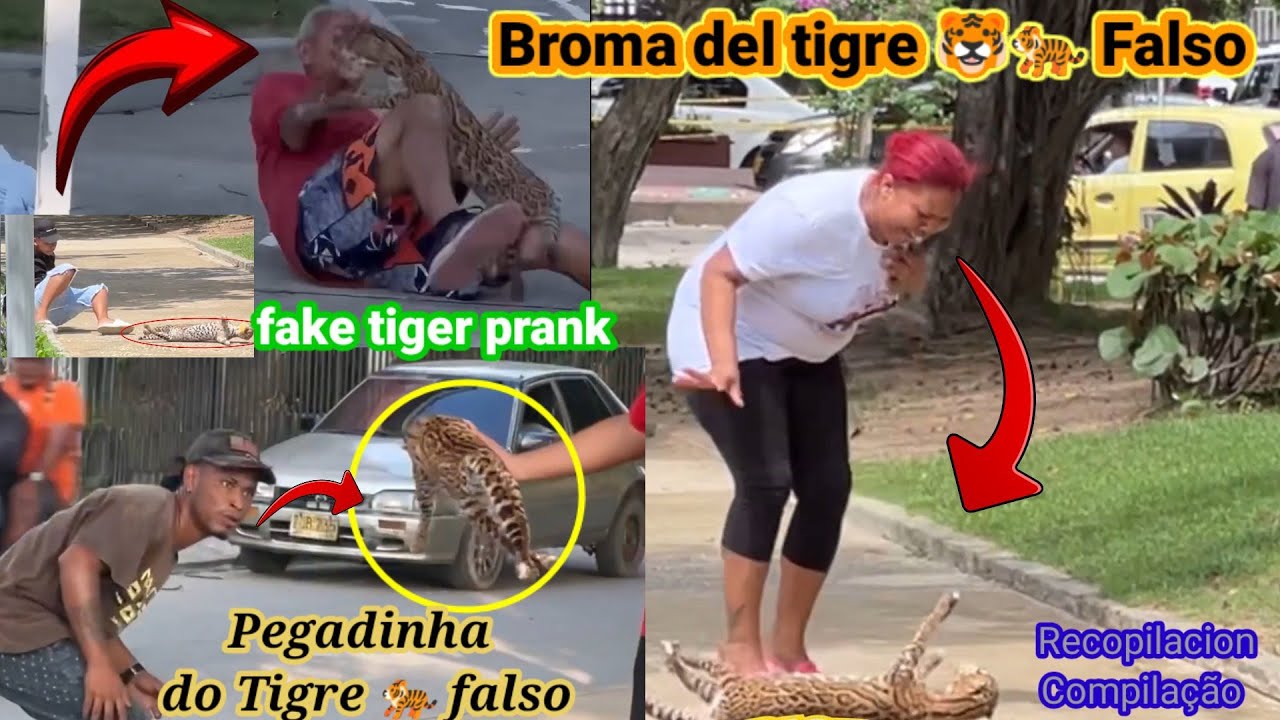 Broma del tigre falso recopilacion / Pegadinha do tigre falso/ Fake tiger prank