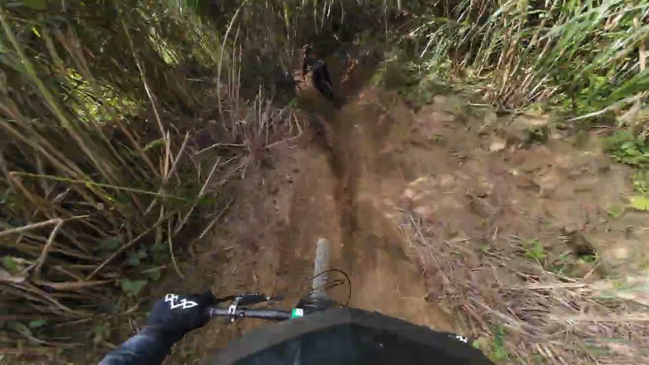 The View Bike Park - Tagaytay Laurel Ph Jan 31 2026 