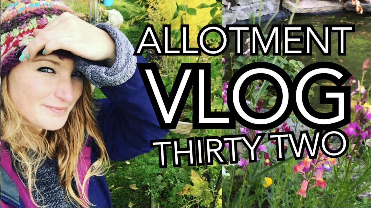 ALLOTMENT VLOG 32 - Shallots, Planting Out and Wildflowers!