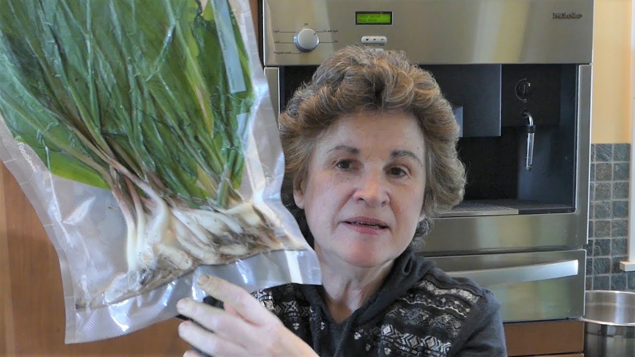 Preserving Ramps: Freezing and Dehydrating