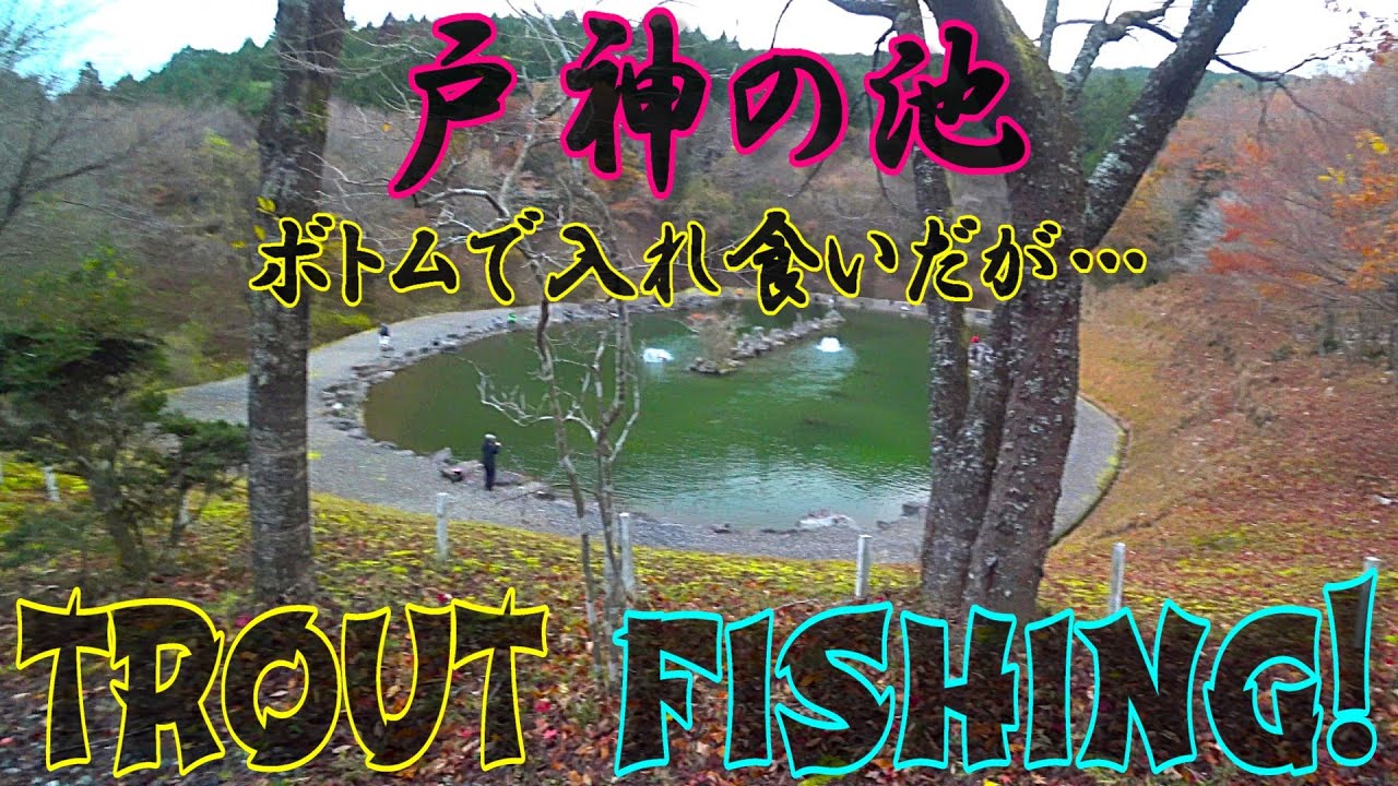 【エリアトラウト】戸神の池でボトム攻略