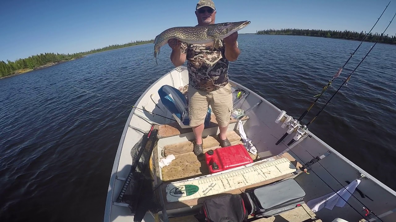 Catch and release