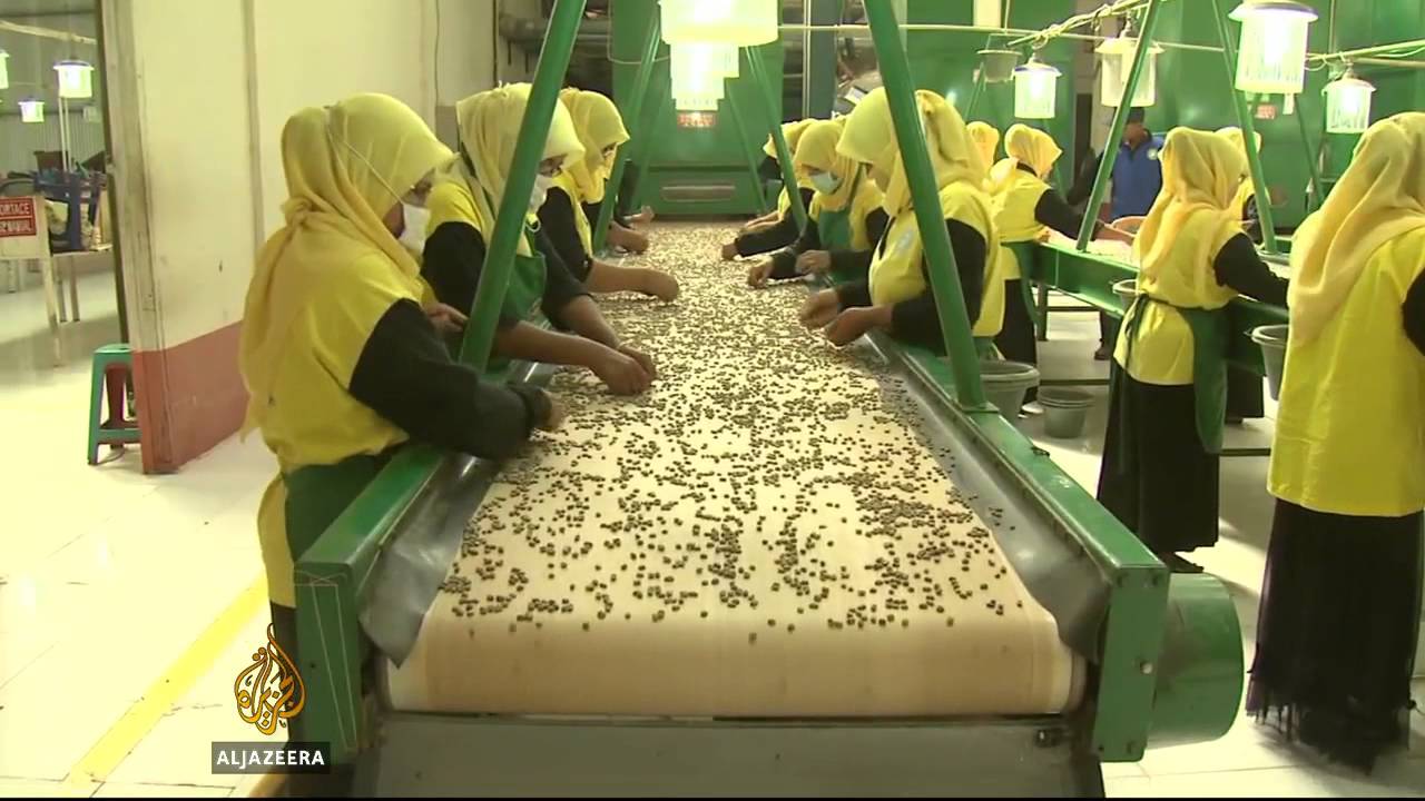 Indonesia brews higher coffee profits