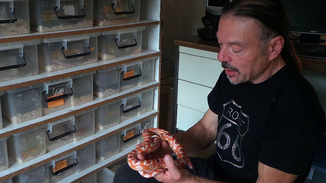 Visite de l'élevage de Richard Dijoux épisode 8