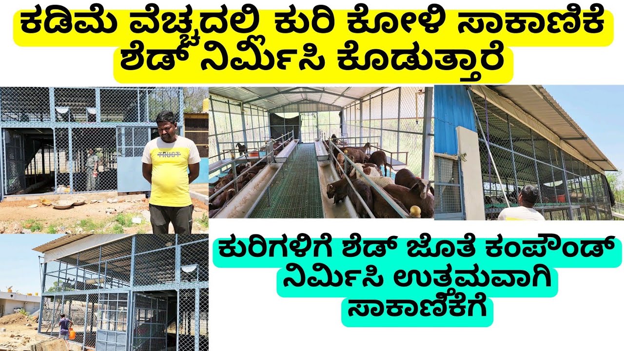 ಕೇವಲ 40 ಕುರಿ ಸಾಕಾಣಿಕೆಗೂ ಶೆಡ್ ಮತ್ತು ಕಾಂಪೌಂಡ್ ನಿರ್ಮಿಸಿ ಕೊಡುತ್ತಾರೆ low cost sheep goat shed constructio