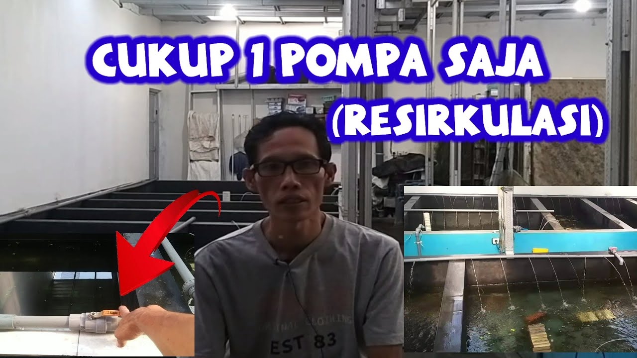 12_Как работает система рециркуляции бассейна || Пресноводный омар ||
