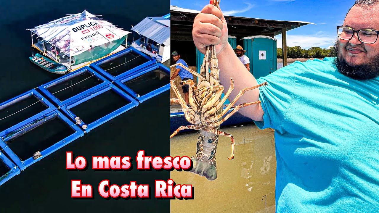 Isla Venado Costa Rica, un día después de la Talega 😵‍💫 Ft. @Araya Vlogs  🇨🇷