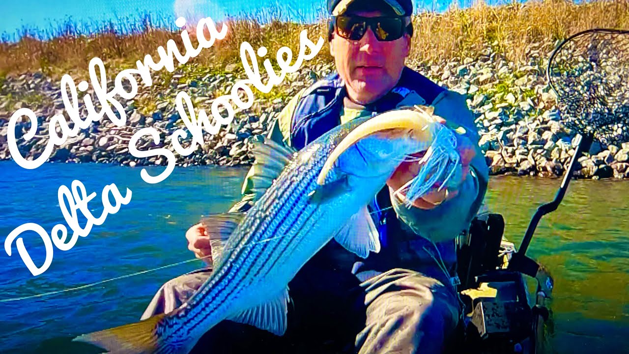 West Coast Stripers