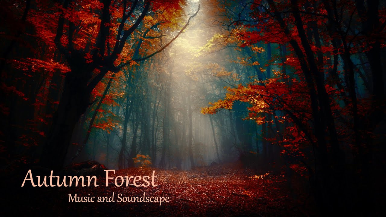Autumn [Soundscape and Music]