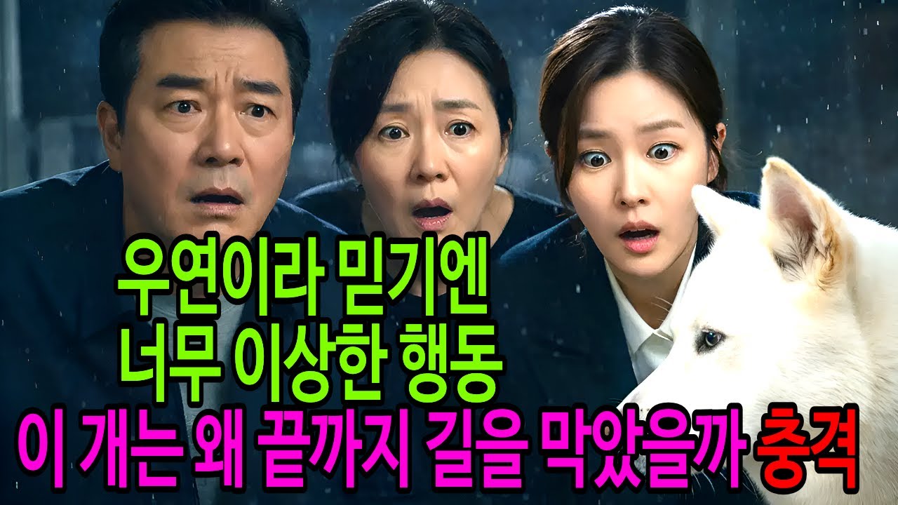 백(복)돌이가 너무 이상한 행동!!!아무도 상상못한 충격적 진실 [감동실화][강아지사연][감동실화[오디오북]