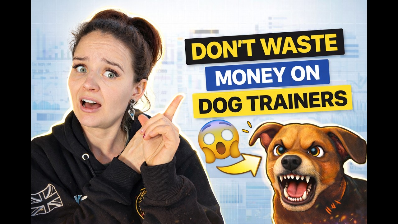 How To ACTUALLY Choose a Dog Trainer (Before You Waste Thousands)