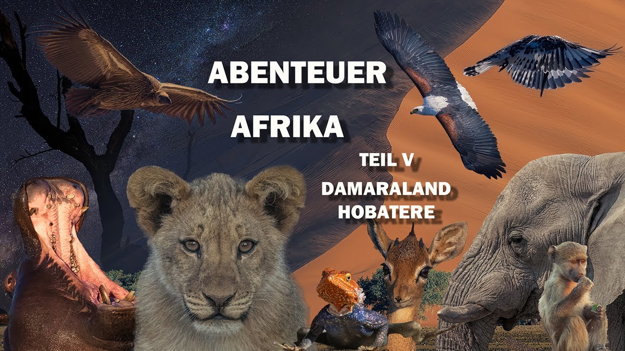 Abenteuer Afrika   Teil 5   Damaraland + Hobatere