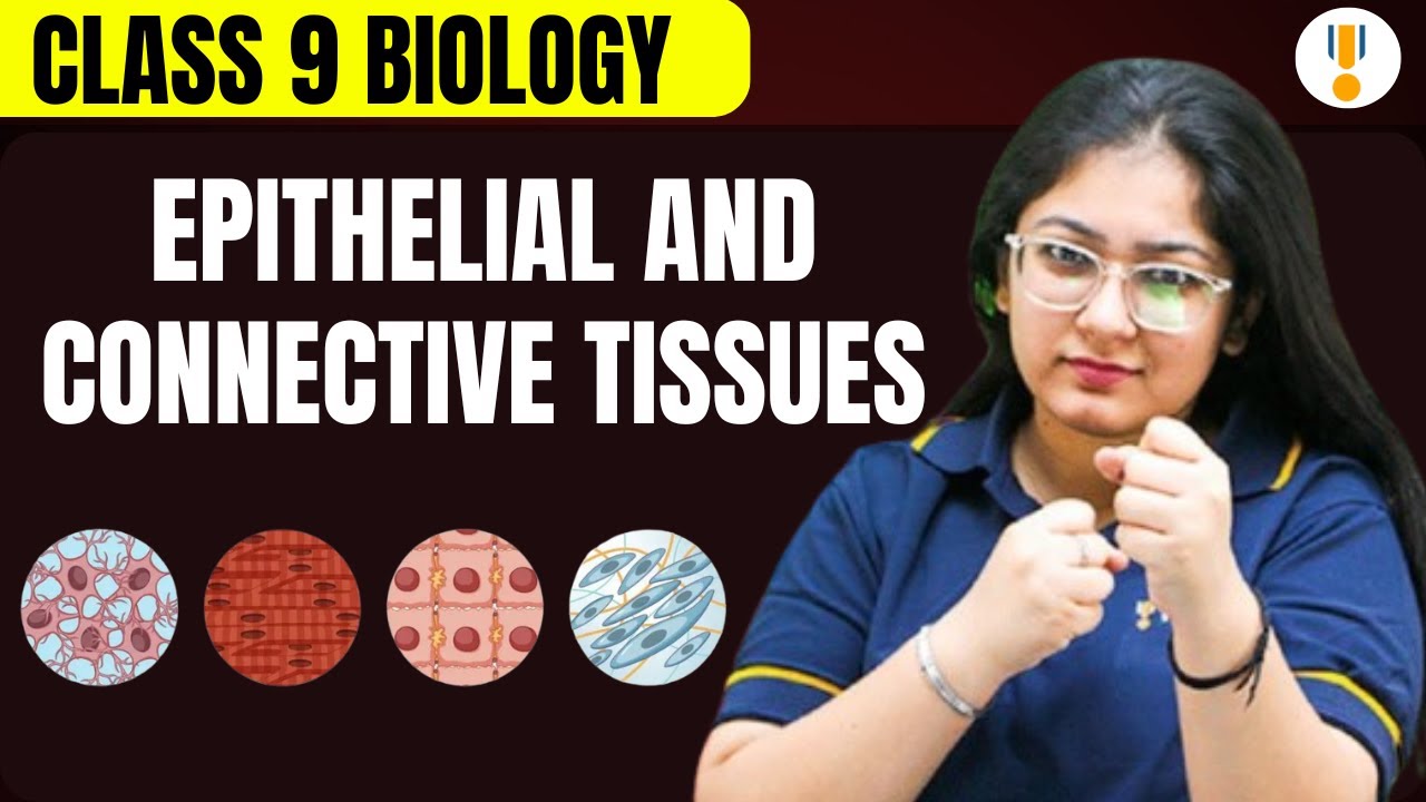 Epithelial and Connective Tissues | Class 9th Biology | Complete NCERT Explanation | Rankplus