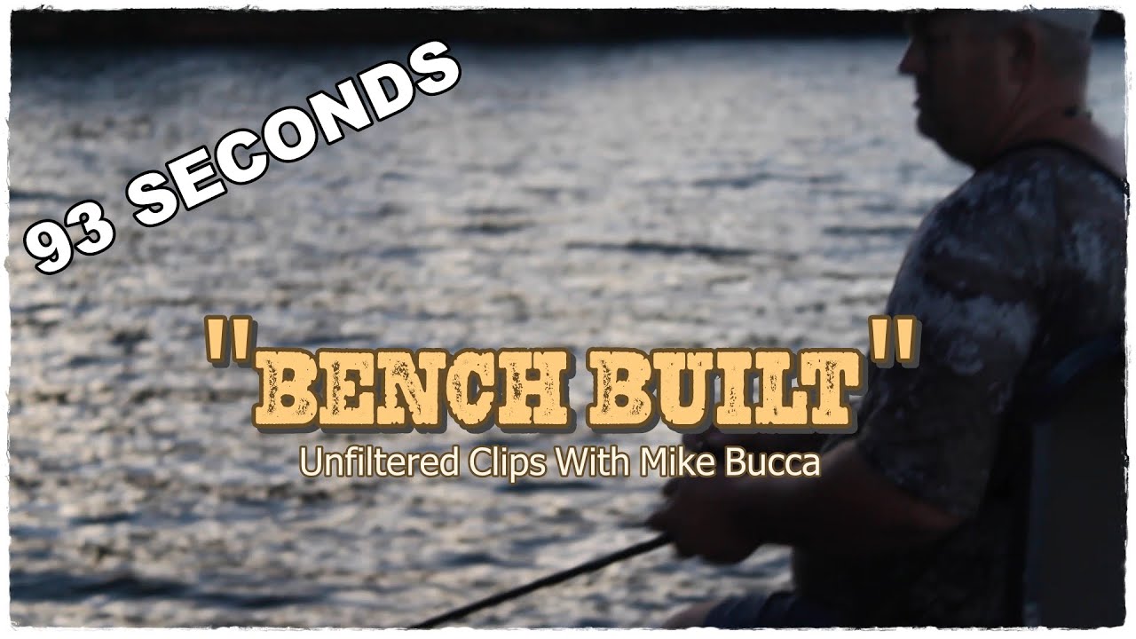 93 Seconds - A Glimpse Of Bull Shad Insight
