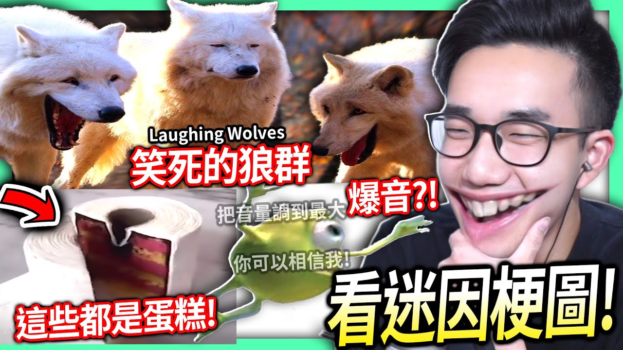 【有感筆電】看迷因梗圖#12：一群笑死的狼！你敢把音量調到最大嗎？(恐怖的爆音信任挑戰) 一切都是蛋糕！【每2周更新啦】