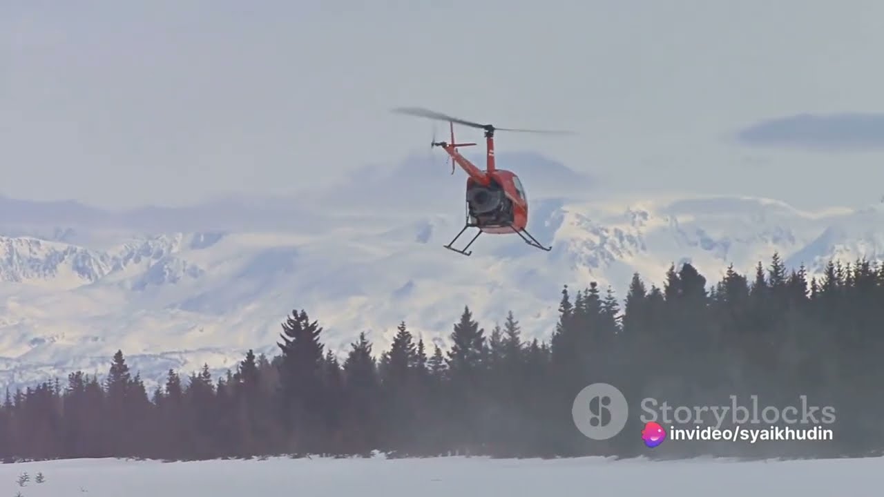 H145 Helicopter: Wildlife Conservation Aerial Expedition (2024-03-09) #Wildlife #H145Helicopter