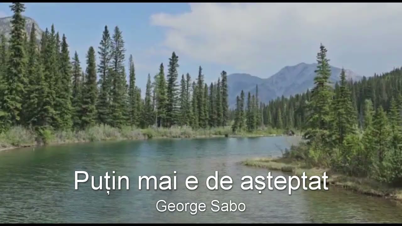 Puțin mai e de aṣteptat - George Sabo