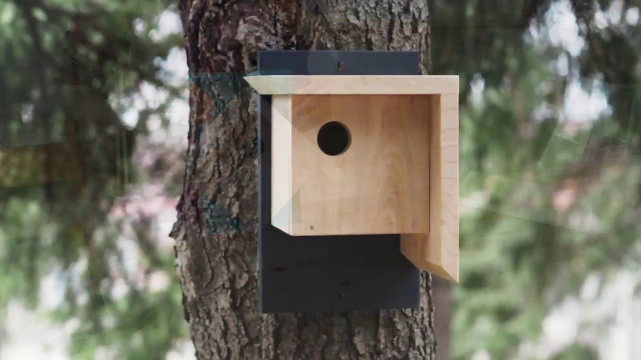 Tutoriel Kit Nichoir à oiseaux