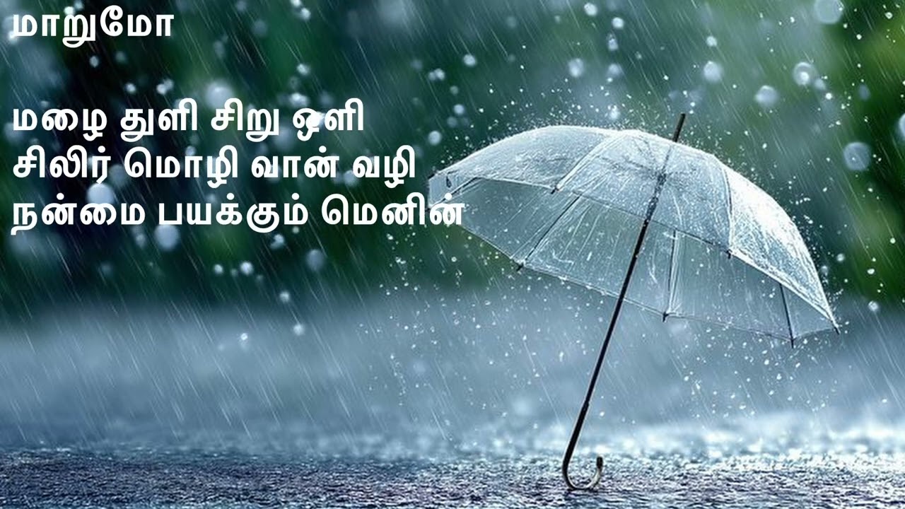 மழை துளி சிறு ஒளி  @ துளிலன்