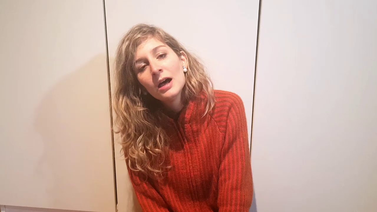 Cover L'estaca de Lluis Llach