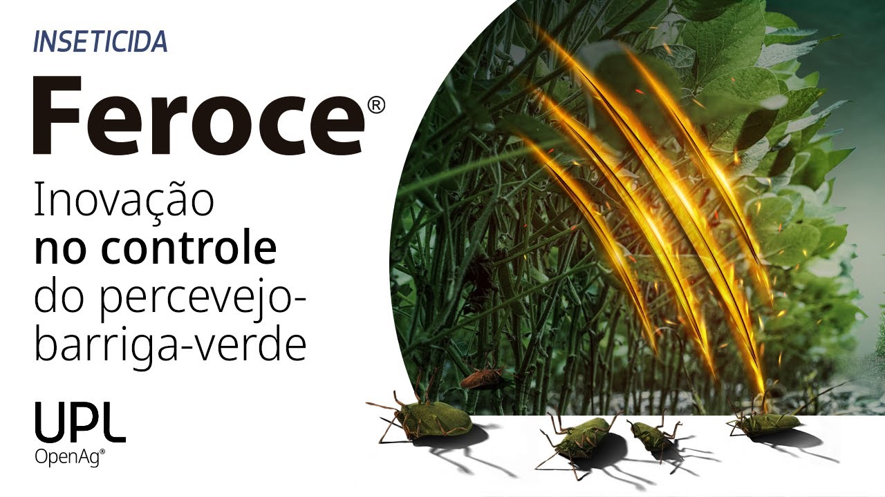 Inseticida | Feroce&reg; vs. Percevejo-barriga-verde: desempenho incompar&aacute;vel!