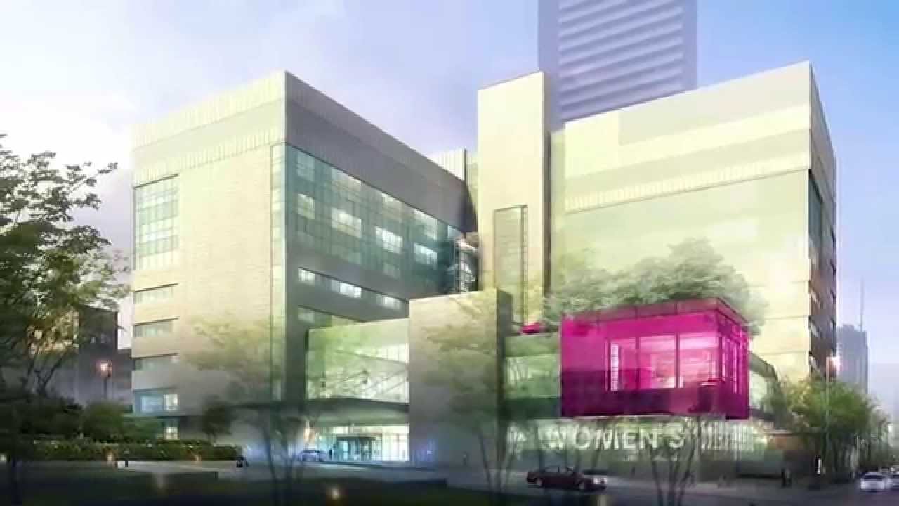 BUILDING THE HOSPITAL OF THE FUTURE
