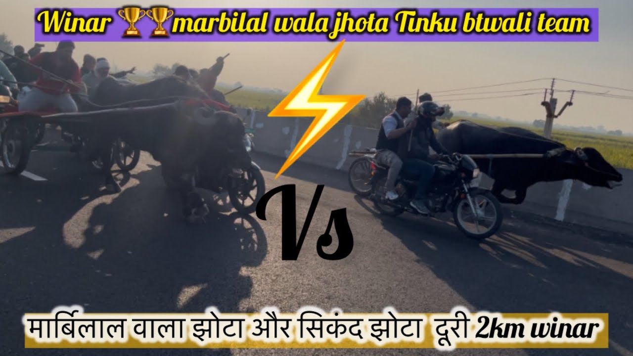 मारबिरल  vs सिकंदर 2 धुरेंदर झोटे दोनों मैं महामुकाबला दूरी 2km winar मारबिरल वाला झोटा 