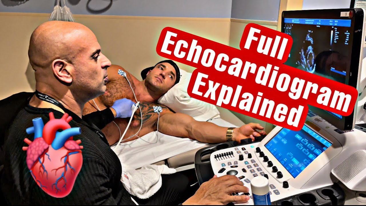FULL ECHOCARDIOGRAM EXPLAINED