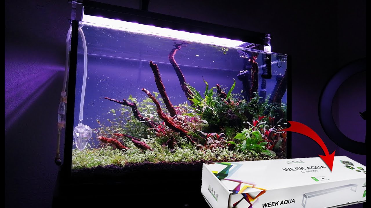 Lampara Para Acuarios Plantados 🌱🌿 Week Aqua L Series