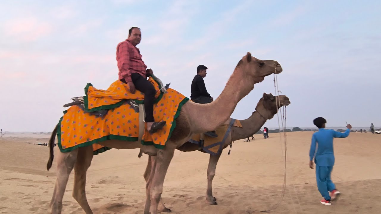 Sam dejart campaign ll ऊंट सफारी ll जीप सफारी ।। सम डेजर्ट कैप जैसलमेर ll Sam Desert Safari