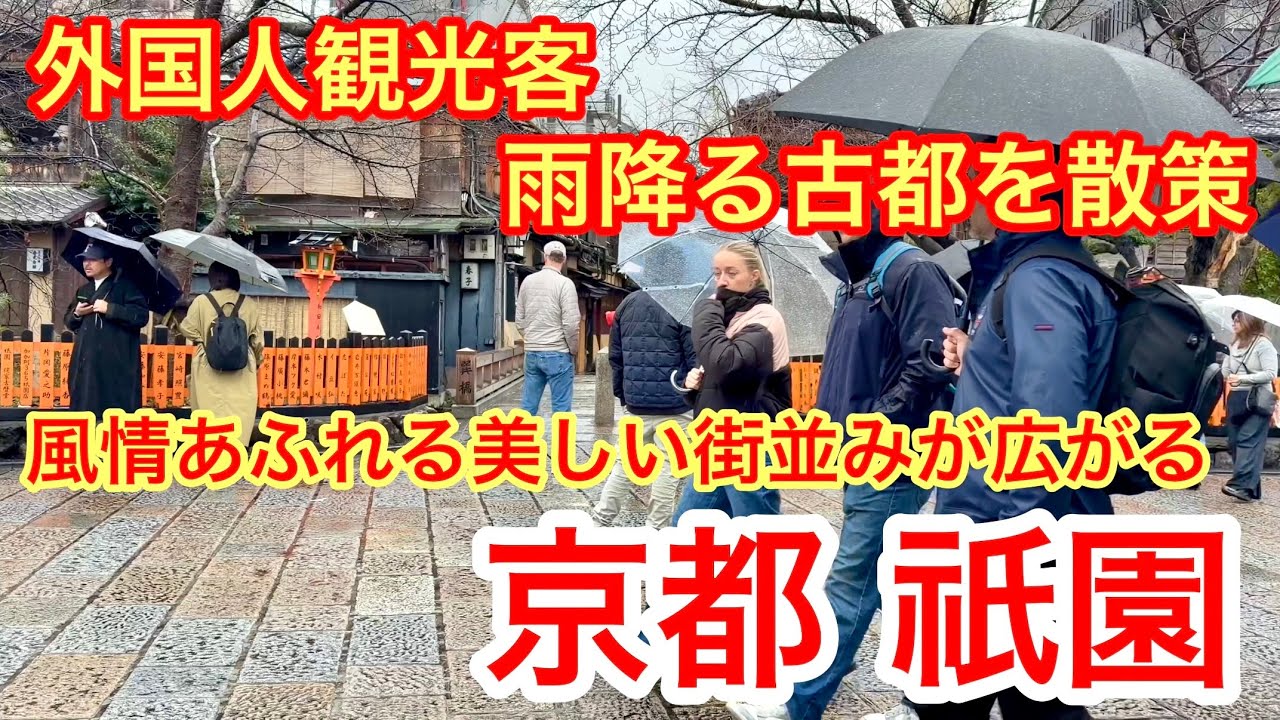 2026年2月25日 外国人観光客 雨降る古都を散策 風情あふれる美しい街並みが広がる京都祇園を歩く Walking around Gion, Kyoto