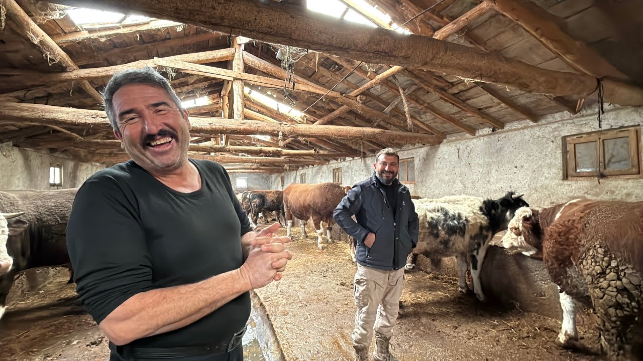 KAYMAK EVDE 
