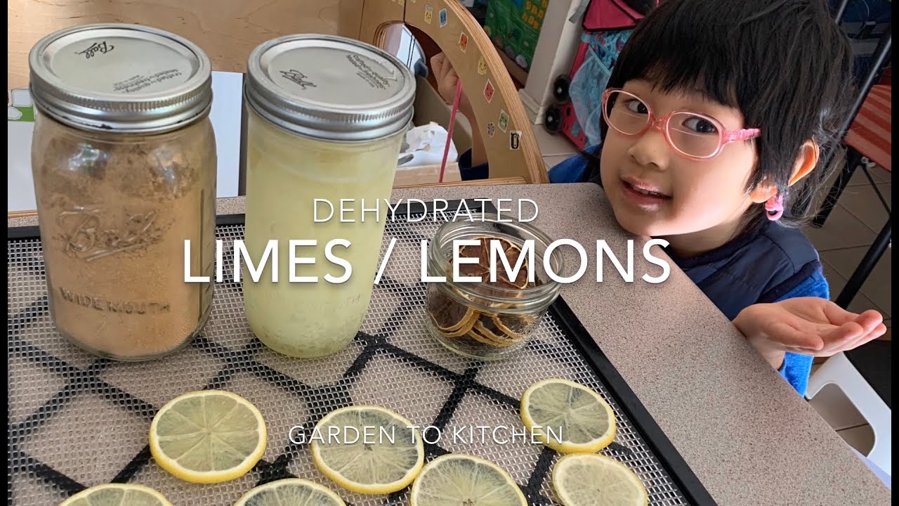 Dehydrated Lime / Lemon Powder | How to | Garden to Kitchen | Vegan Kid
