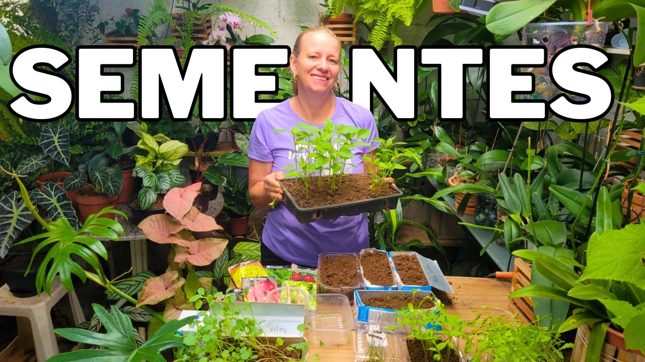 🌱 O Jeito CERTO de Plantar Sementes Compradas no Supermercado