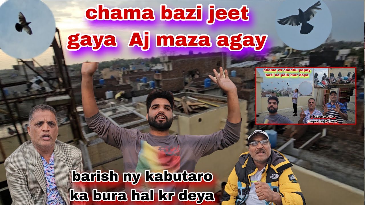 Chama bazi jeet gaya💪barish ny kabutar ka bura hal kr deya chaxhu papa har gaya😔