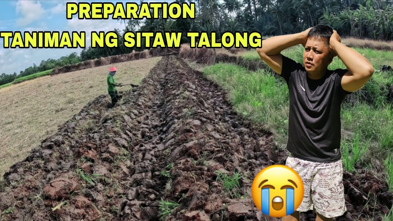 Isang kargang saging nawala kay tatay boboy at bombay sayang...Preparation para sa bagong taniman...