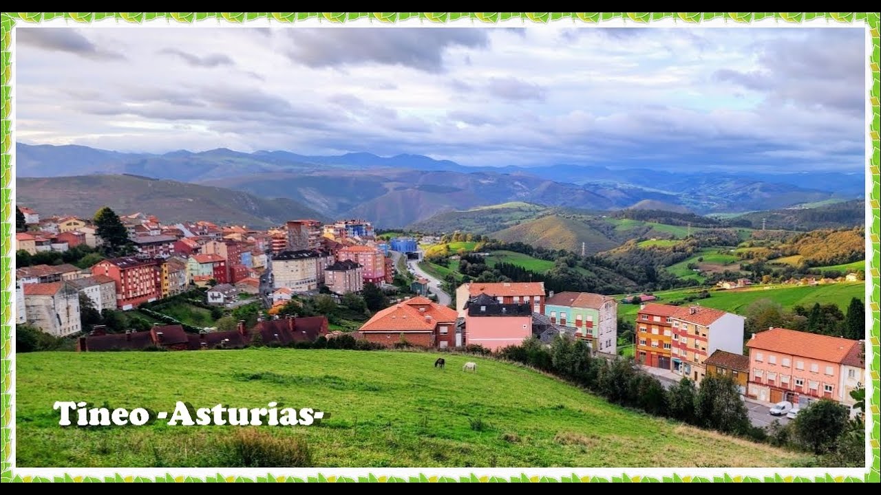Tineo  -Asturias-