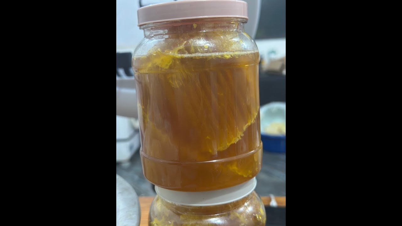 MẬT ONG RỪNG HẠ SƠN VÀ DƯỢC THẢO LH:0946603866
