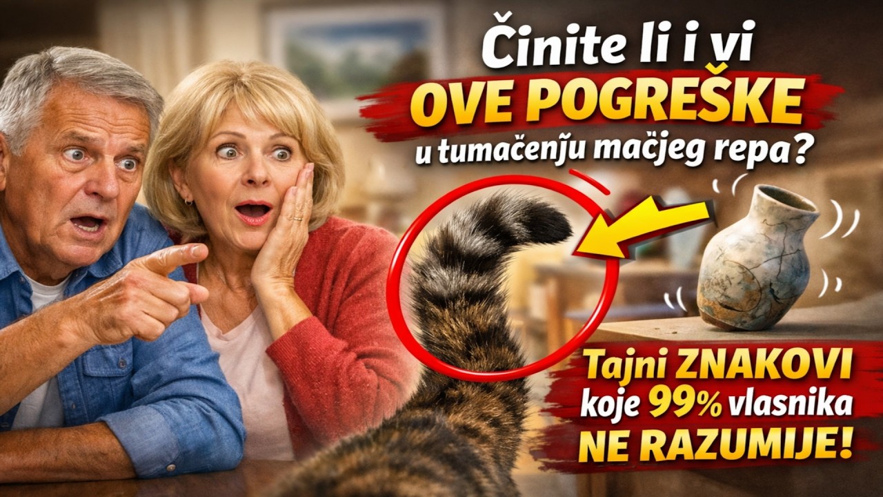 Činite li i vi OVE POGREŠKE u tumačenju mačjeg repa? 🙀 Tajni ZNAKOVI koje 99% vlasnika NE RAZUMIJE