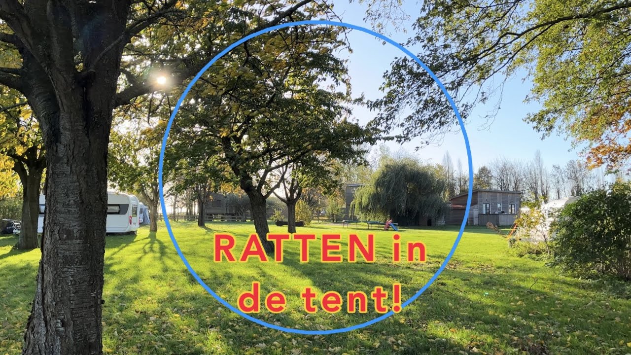 Kortvlog 018 Leven in de caravan, bevalt het?