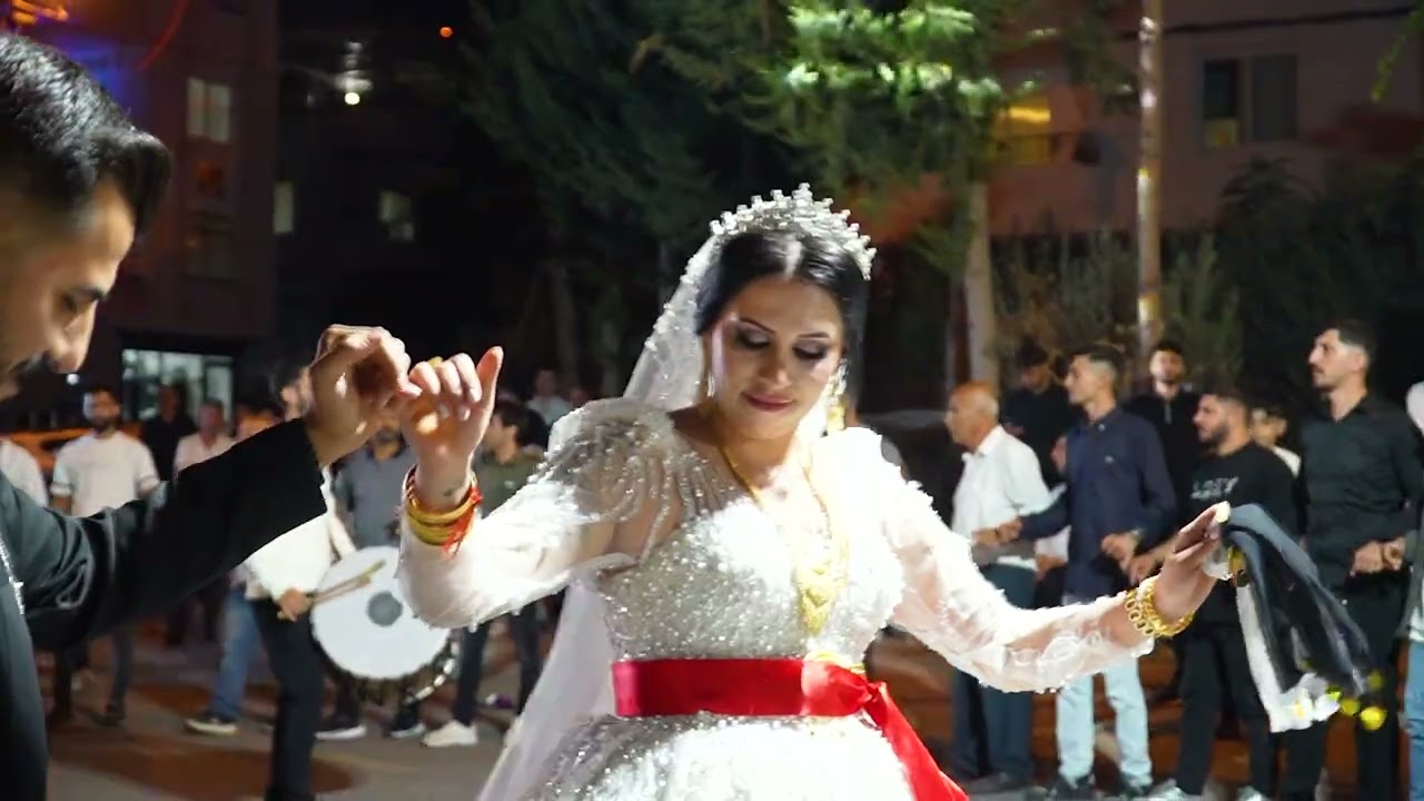 Mustafa Sönmez / Mın ji xwere gulek dit   Nû