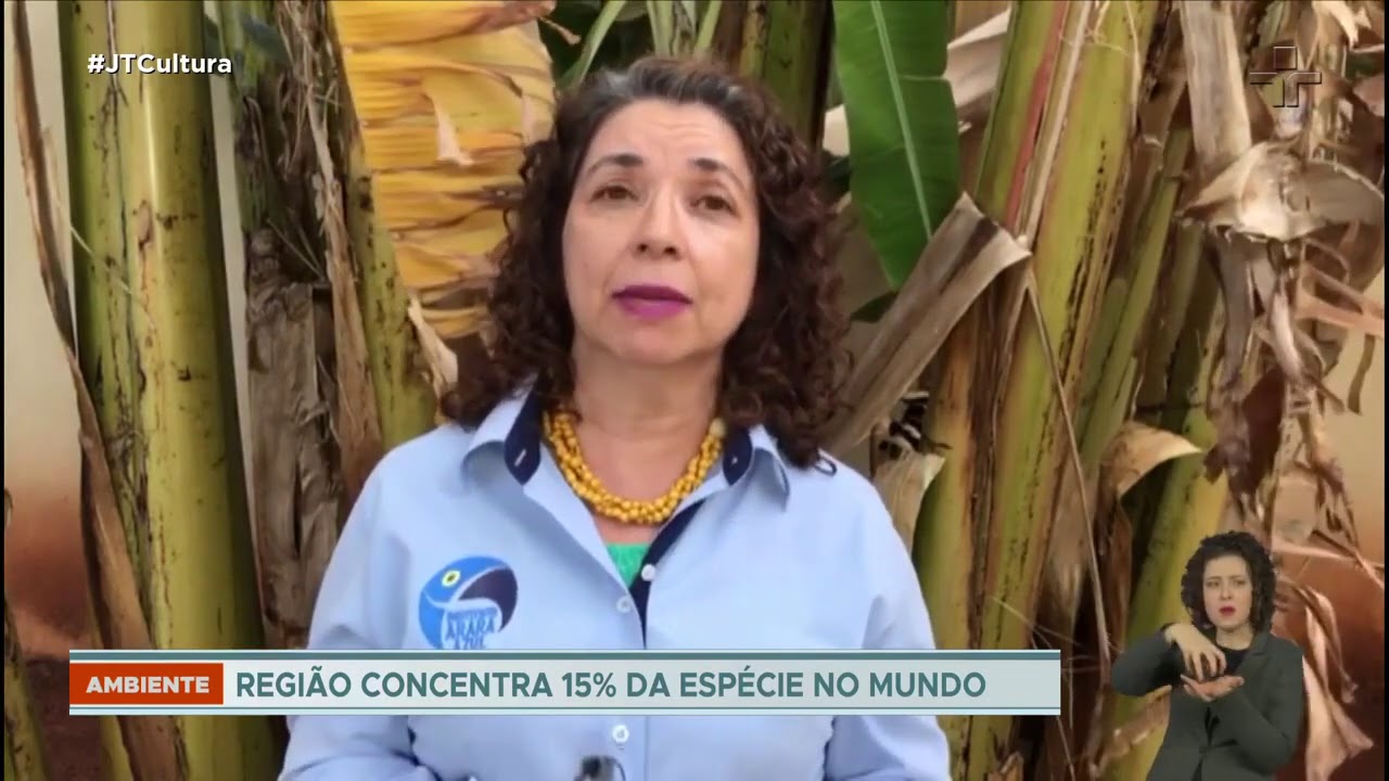 Mais de 10% do territ&oacute;rio do Pantanal foi devastado por queimadas